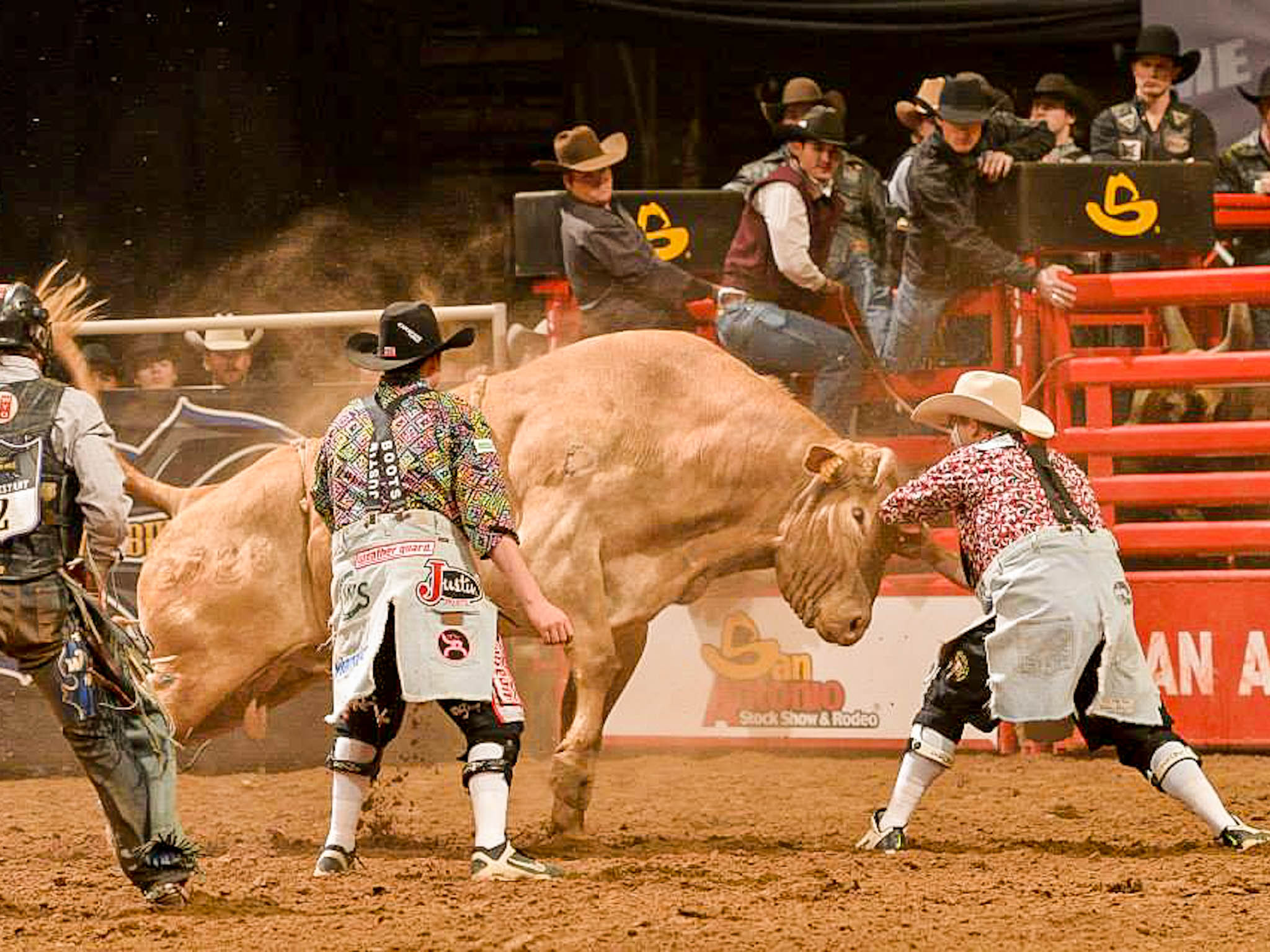A Complete Guide to the San Antonio Stock Show & Rodeo The San