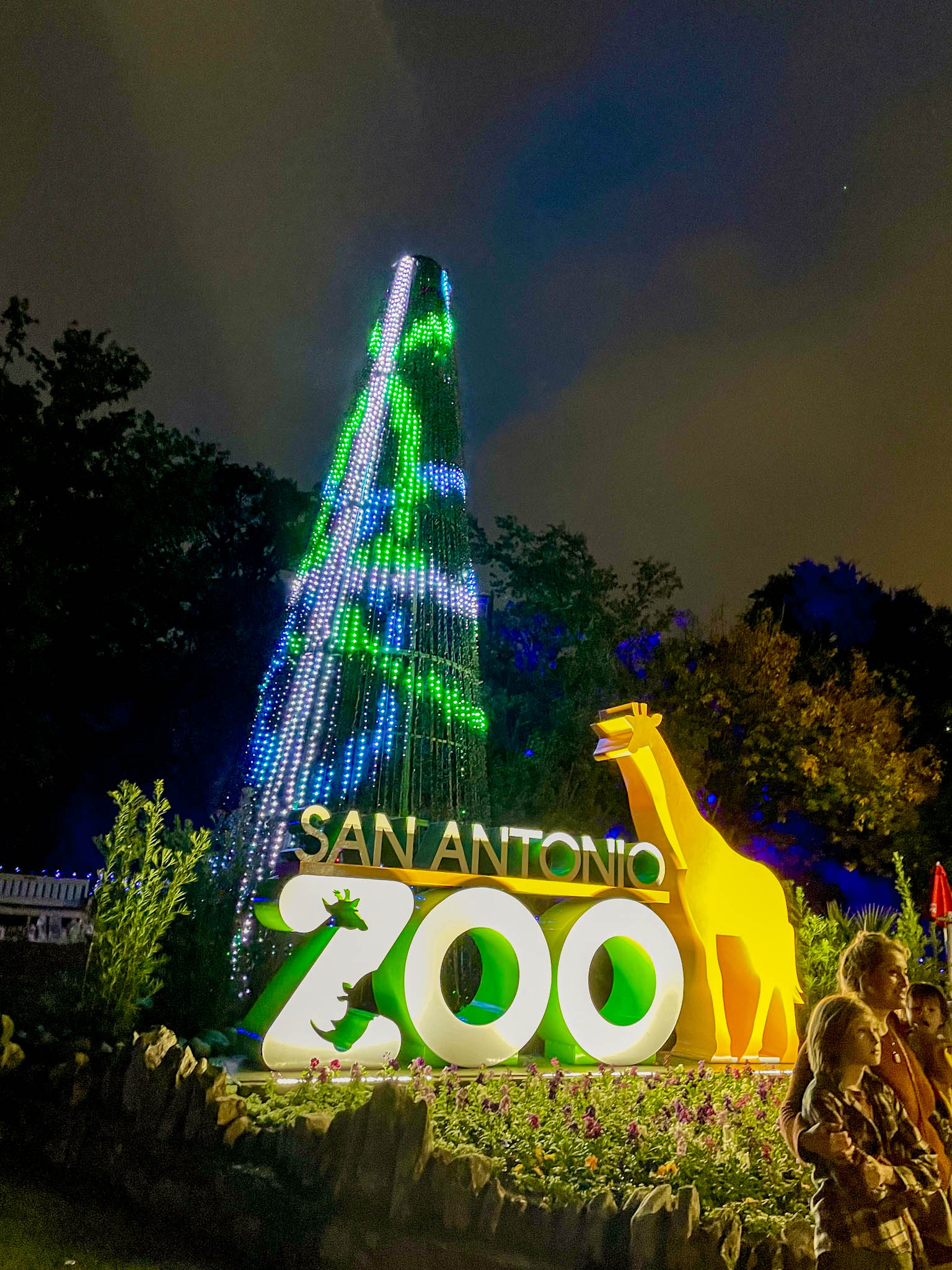 a-holiday-visit-to-san-antonio-zoo-lights-the-san-antonio-things